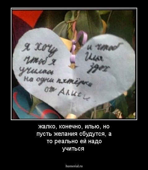 жалко, конечно, илью, но пусть желания сбудутся, а то реально ей надо учиться