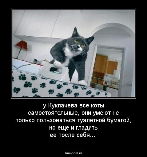 у Куклачева все коты самостоятельные, они умеют не только пользоваться туалетной бумагой, но еще и гладить ее после себя...