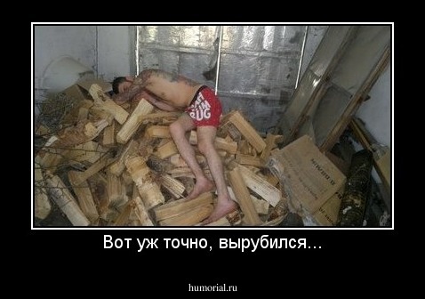 Вот уж точно, вырубился...