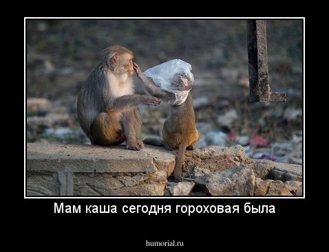 Мам каша сегодня гороховая была