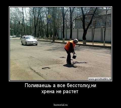Поливаешь а все бесстолку,ни хрена не растет