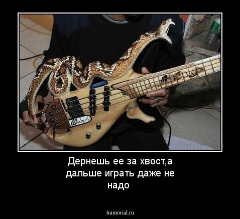 Дернешь ее за хвост,а дальше играть даже не надо