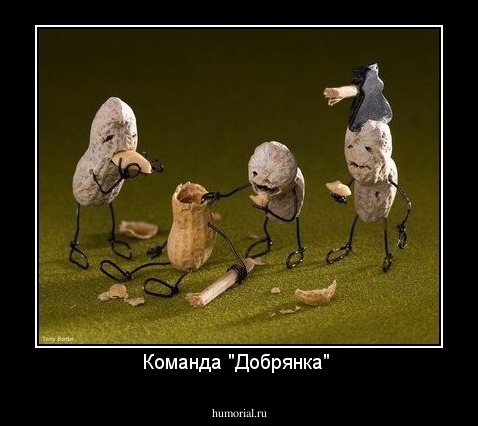 Команда "Добрянка" 