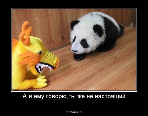 А я ему говорю,ты же не настоящий