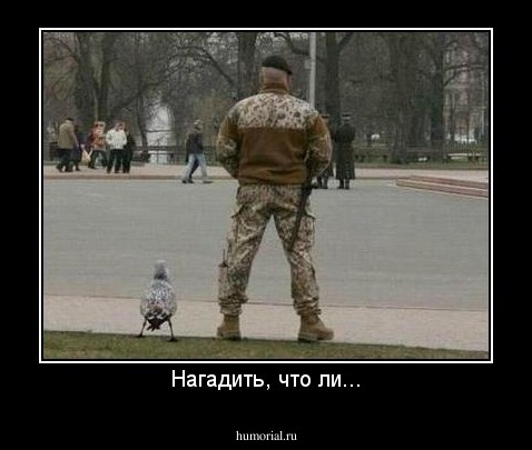 Нагадить, что ли...
