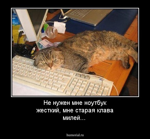 Не нужен мне ноутбук жесткий, мне старая клава милей...