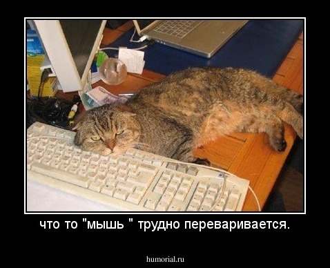 что то "мышь " трудно переваривается.