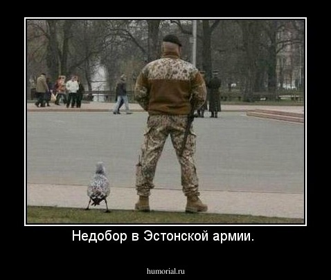 Недобор в Эстонской армии. 