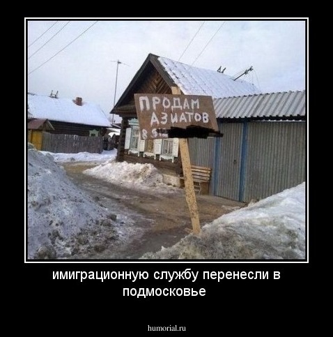 имиграционную службу перенесли в подмосковье