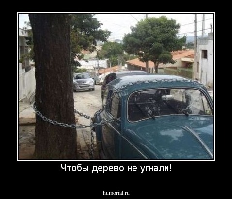 Чтобы дерево не угнали!