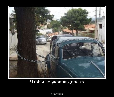 Чтобы не украли дерево