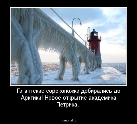 Гигантские сороконожки добирались до Арктики! Новое открытие академика Петрика. 