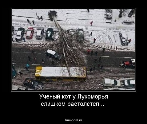 Ученый кот у Лукоморья слишком растолстел...