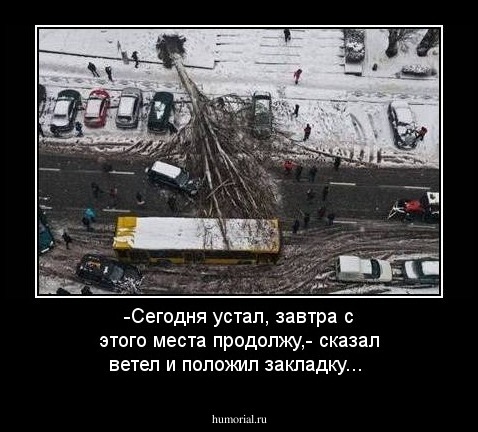 -Сегодня устал, завтра с этого места продолжу,- сказал ветел и положил закладку...