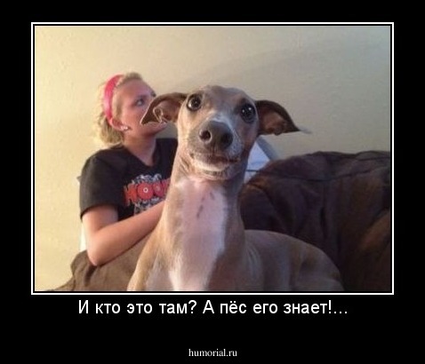 И кто это там? А пёс его знает!...