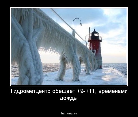 Гидрометцентр обещает +9-+11, временами дождь