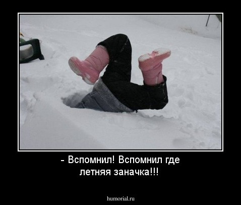 - Вспомнил! Вспомнил где летняя заначка!!!