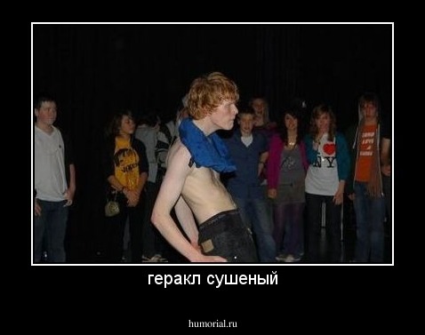 геракл сушеный