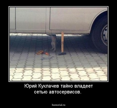 Юрий Куклачев тайно владеет сетью автосервисов. 