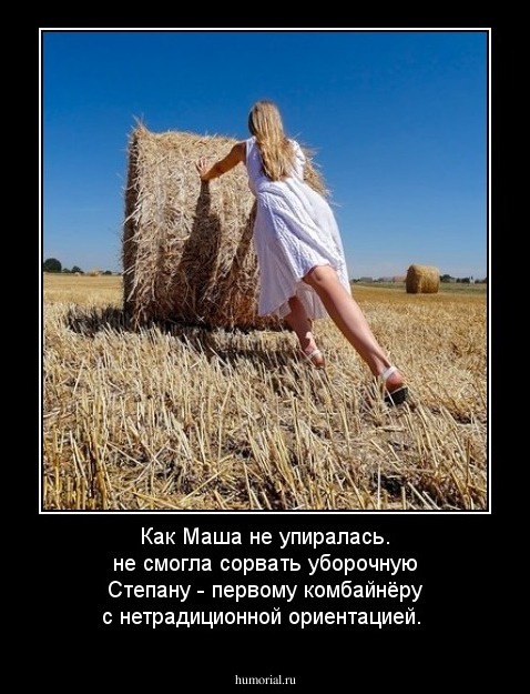 Как Маша не упиралась. не смогла сорвать уборочную Степану - первому комбайнёру с нетрадиционной ориентацией.