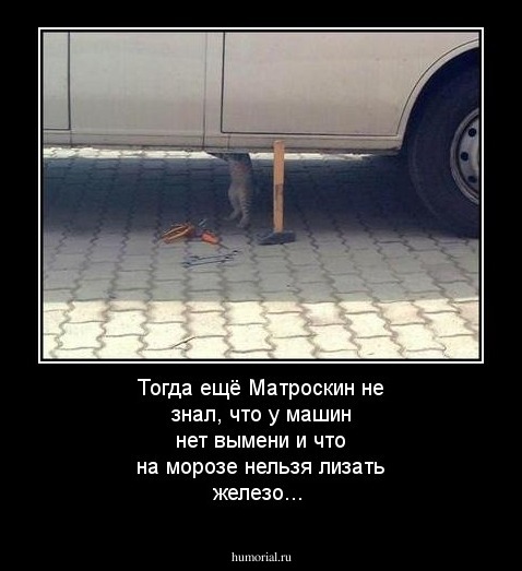 Тогда ещё Матроскин не знал, что  у машин нет вымени  и что на морозе нельзя лизать железо...