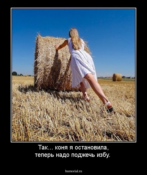 Так... коня я остановила, теперь надо поджечь избу.