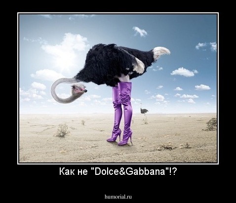 Как не "Dolce&Gabbana"!?