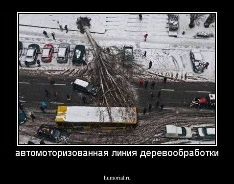 автомоторизованная линия деревообработки