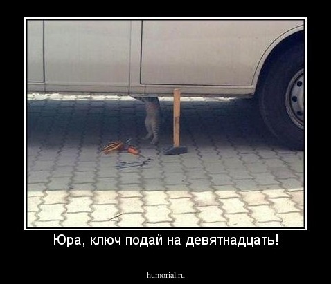 Юра, ключ подай на девятнадцать!