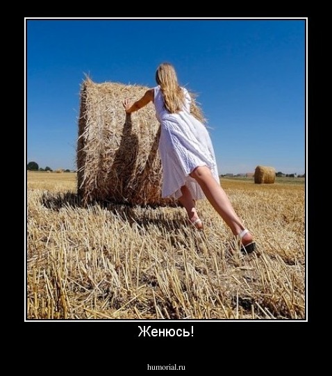 Женюсь!