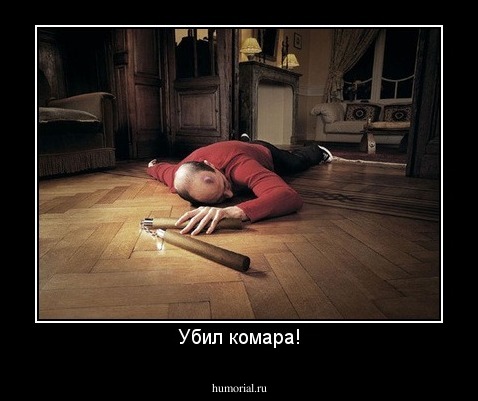 Убил комара!