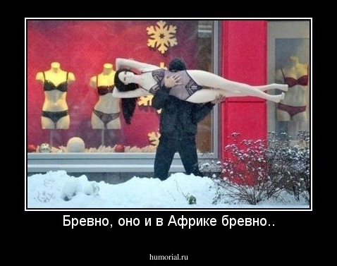 Бревно, оно и в Африке бревно..