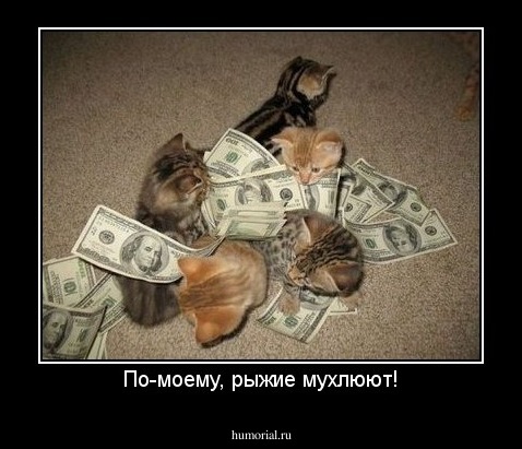 По-моему, рыжие мухлюют!