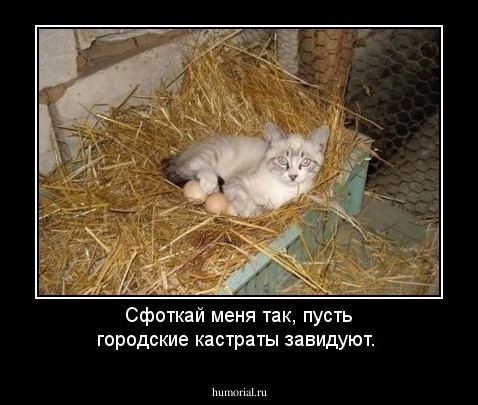 Сфоткай меня так, пусть городские кастраты завидуют.