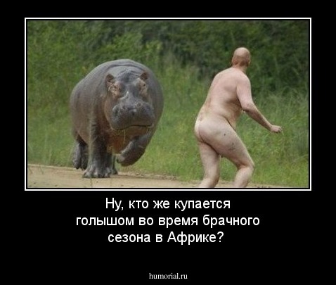 Ну, кто же купается голышом во время брачного сезона в Африке?