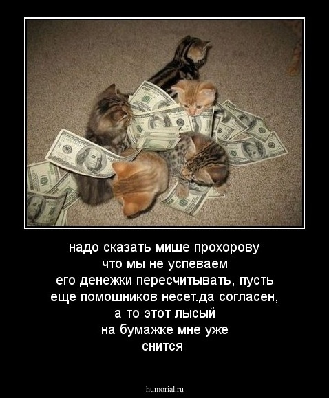 надо сказать мише прохорову что мы не успеваем его денежки пересчитывать, пусть еще помошников несет.да согласен, а то этот лысый на бумажке мне уже снится