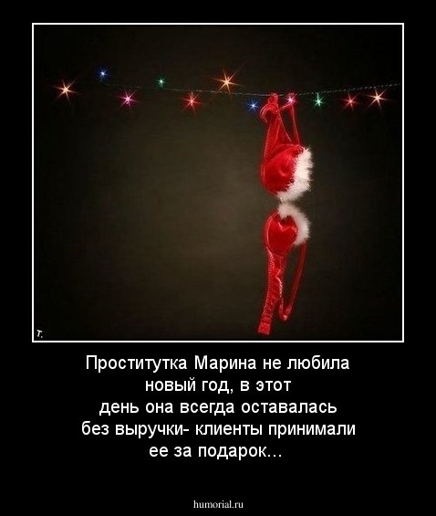 Проститутка Марина не любила новый год, в этот день она всегда оставалась без выручки- клиенты принимали ее за подарок...