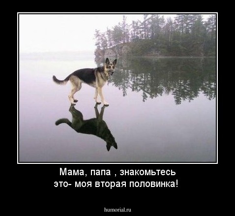 Мама, папа , знакомьтесь это- моя вторая половинка!