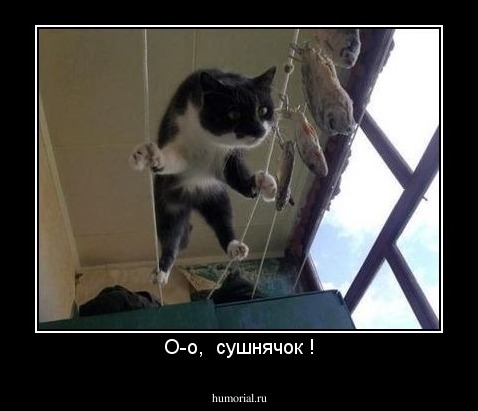 О-о,  сушнячок !