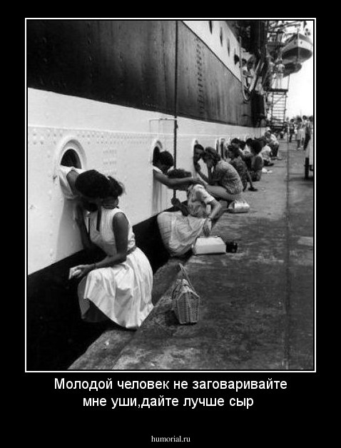 Молодой человек не заговаривайте мне уши,дайте лучше сыр