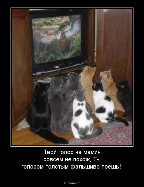 Твой голос на мамин совсем не похож,
Ты голосом толстым фальшиво поешь!