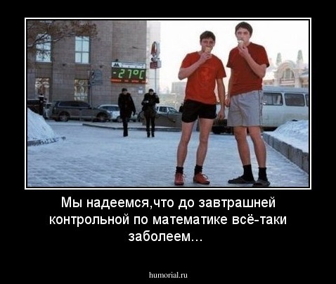 Мы надеемся,что до завтрашней контрольной по математике всё-таки заболеем... 