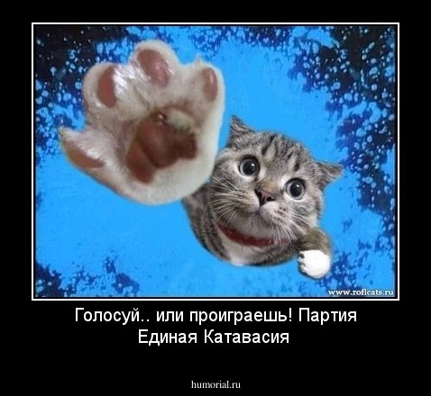 Голосуй.. или проиграешь! Партия Единая Катавасия