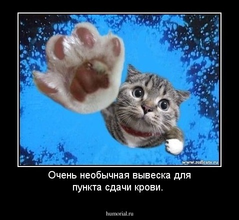 Очень необычная вывеска для пункта сдачи крови.