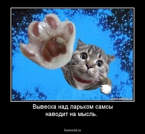 Вывеска над ларьком самсы наводит на мысль.