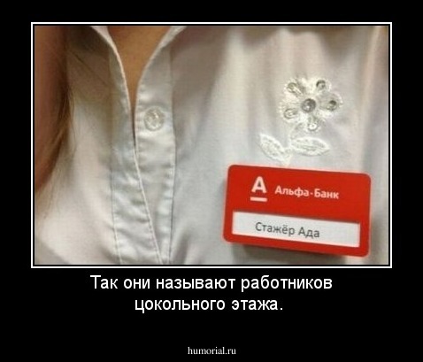 Так они называют работников цокольного этажа.