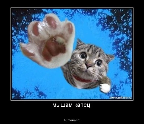 мышам капец!