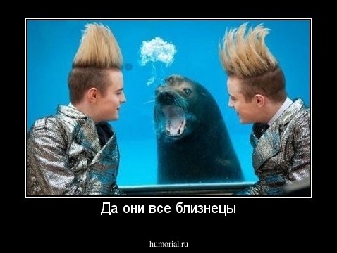 Да они все близнецы