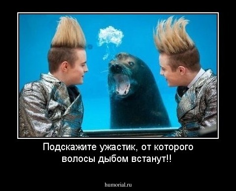 Подскажите ужастик, от которого волосы дыбом встанут!!