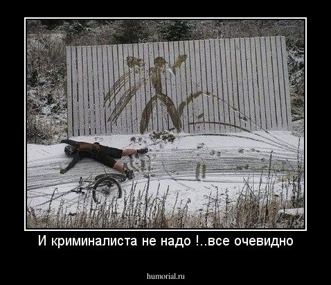 И криминалиста не надо !..все очевидно